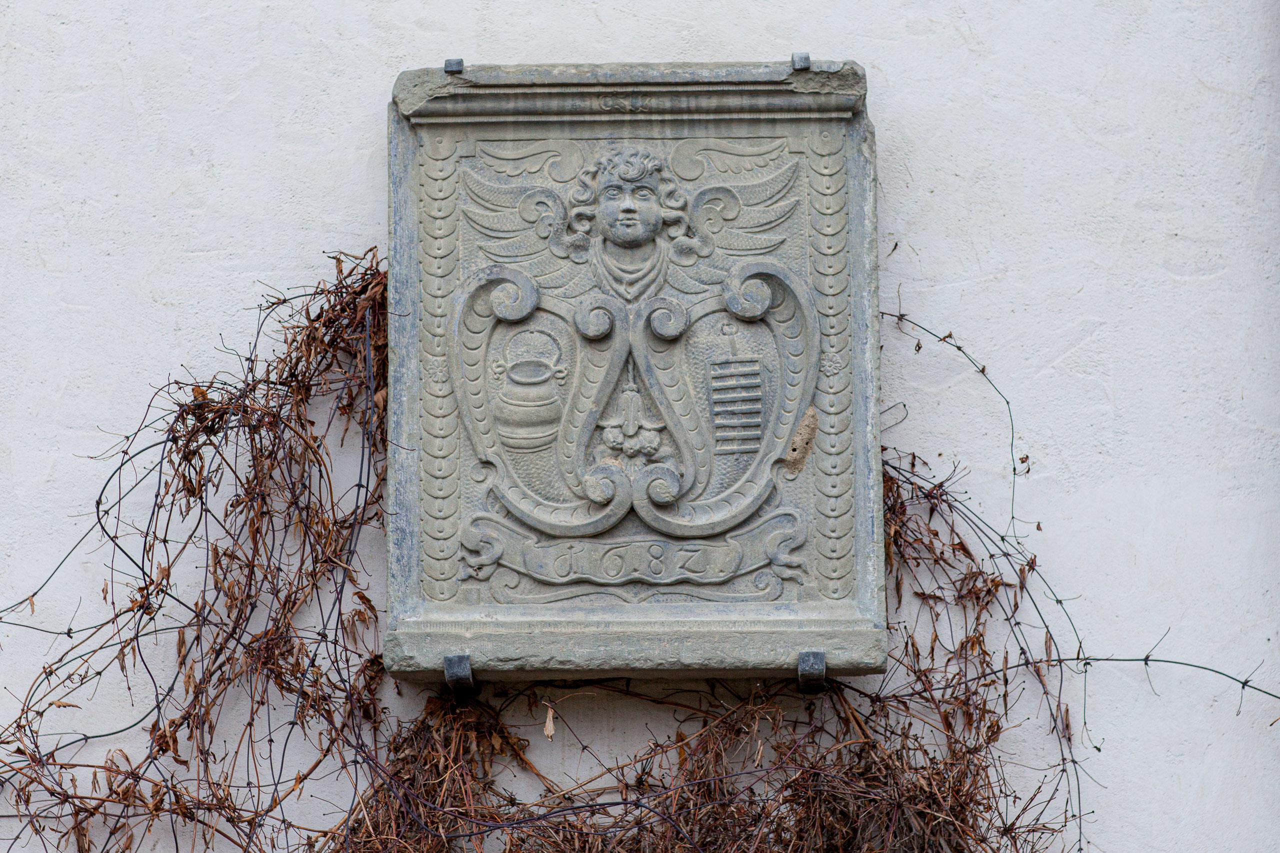 20120225075001 IMG 3428